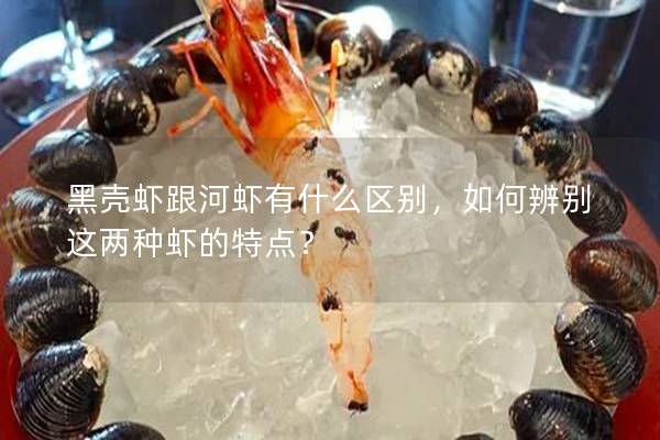 黑殼蝦跟河蝦有什么區別，如何辨別這兩種蝦的特點？